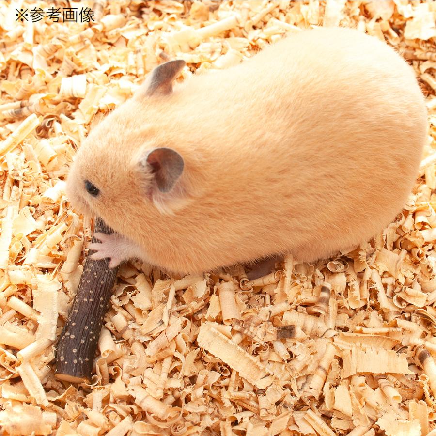 国産 ふわふわしらかばチップ 4L 小動物用 うさぎ ハムスター 床材