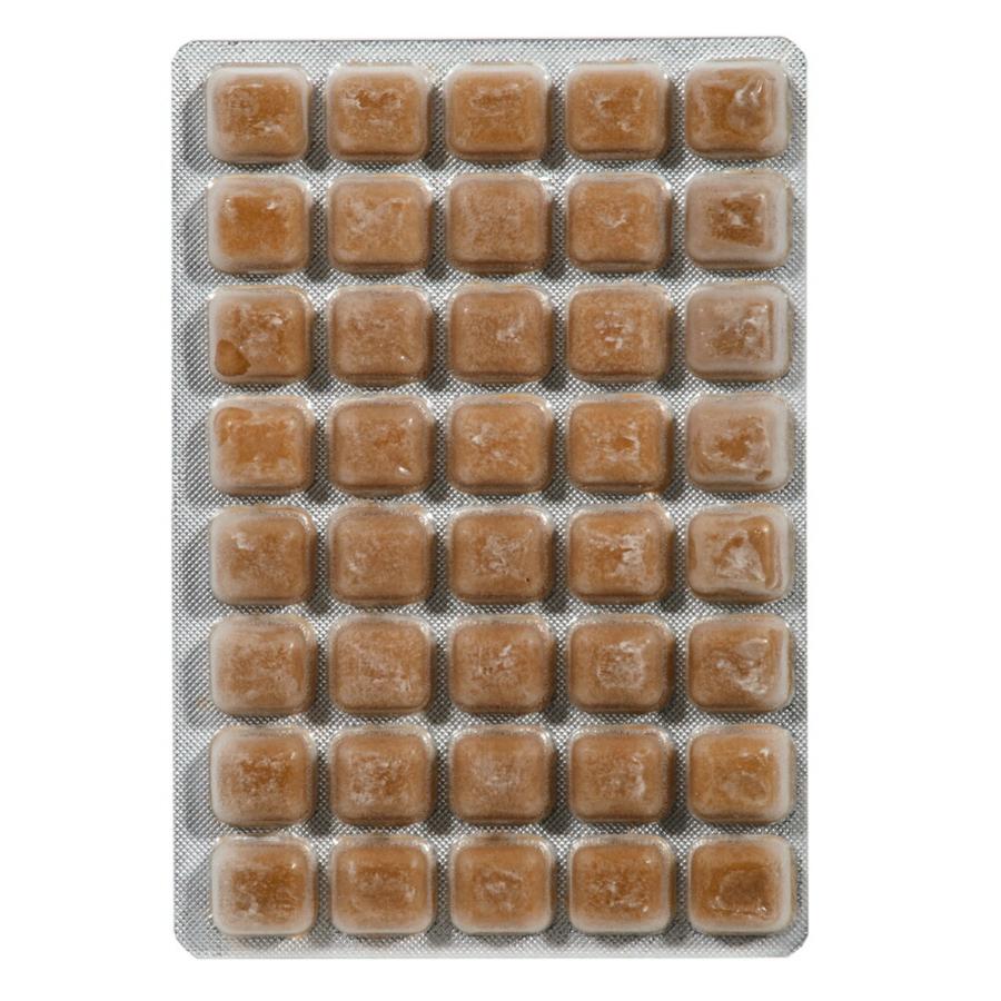冷凍☆プレミアム ベビーブラインシュリンプ 40粒 50g 別途クール