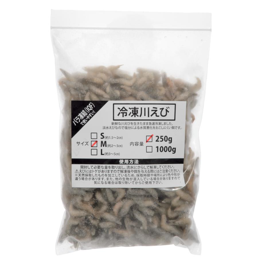 えびページ 冷凍☆川えび M 250g 2〜3cm 別途クール手数料 常温商品同梱