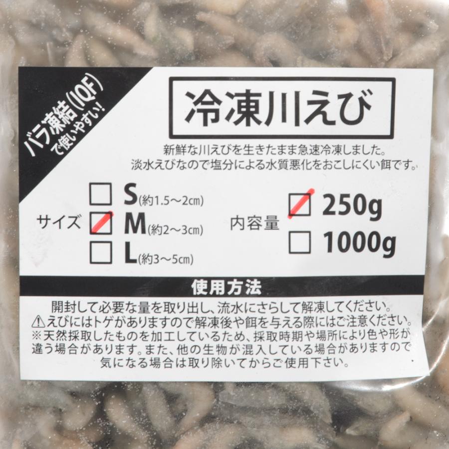 冷凍☆川えび M 250g 2〜3cm 別途クール手数料 常温商品同梱