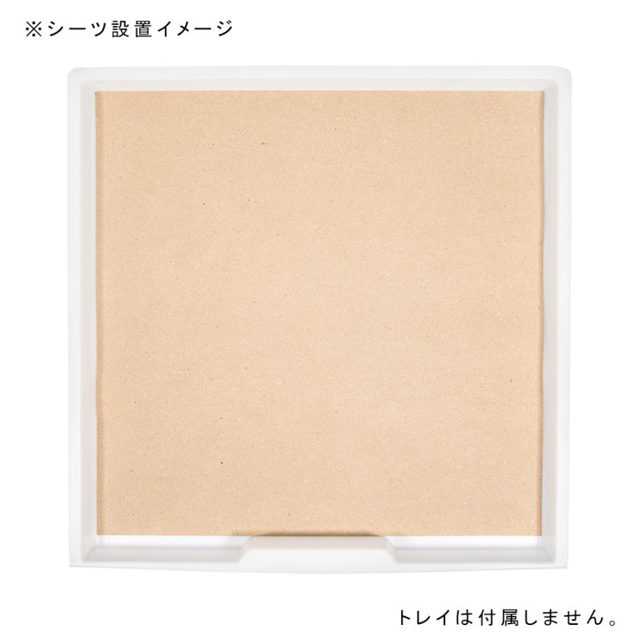 ドールミニヘッド　鳥【ヘッド+六角形の箱】※ボディ・背景は付属しません 鳥用シーツ 100枚 ペットシーツ 小鳥 鳥かご 床材 HOEI465