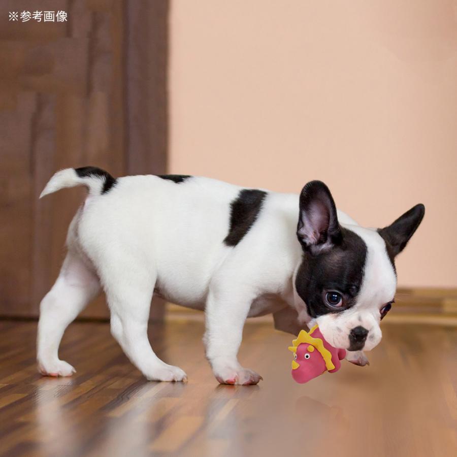 犬　おもちゃ　ループ　プーピーズ　レックス |  | 05