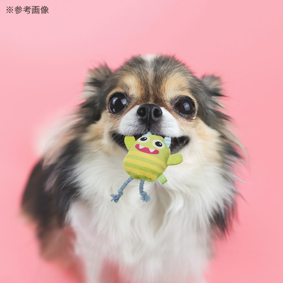 犬　おもちゃ　ループスモル　カラフルモンスター　ターコイズ |  | 05