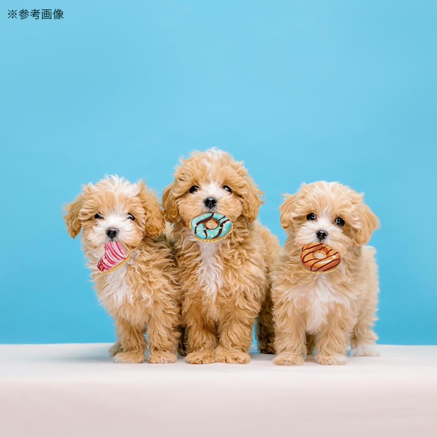 犬　おもちゃ　ループスモル　ドーナツ　ラブリー |  | 03