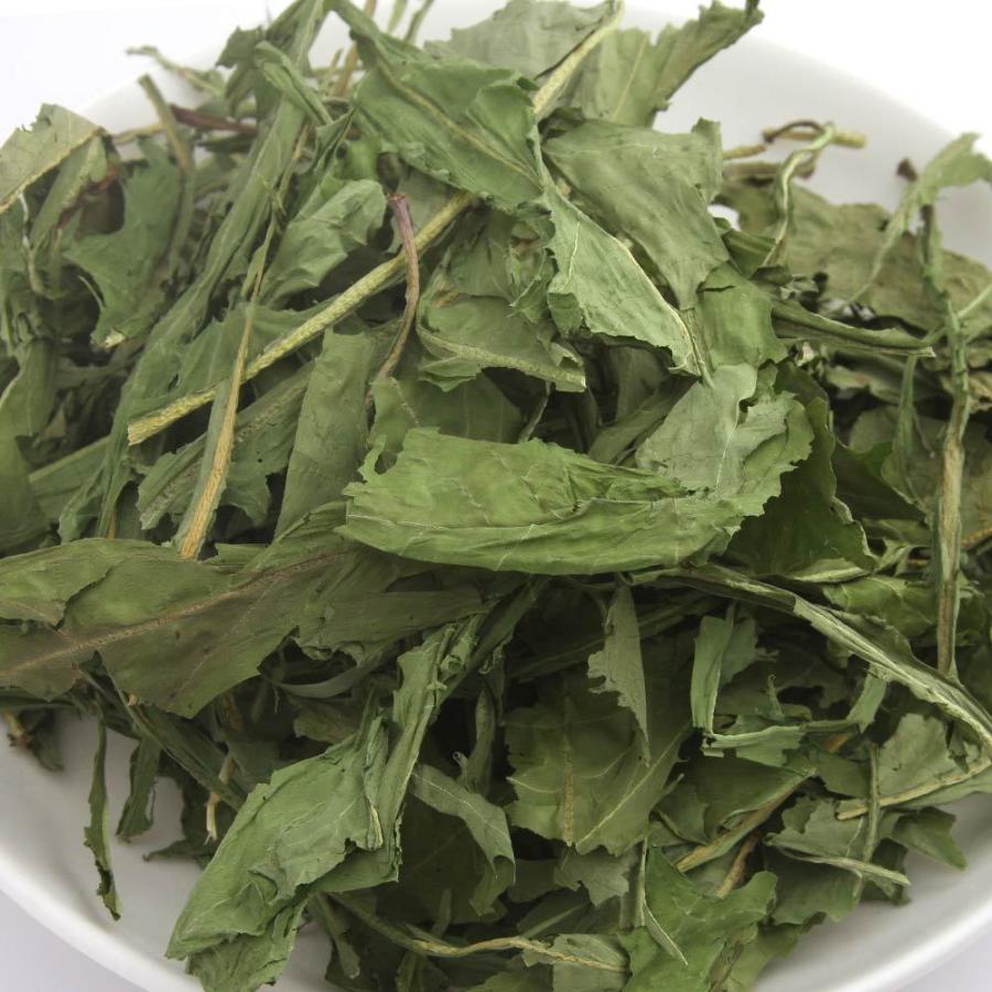 アクリルケージ⭐︎フクロモモンガ 暖房三角屋根セット 2WAY