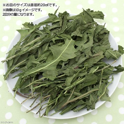１０袋セット　長野県産　高原たんぽぽ　２０ｇ×１０袋　小動物用のおやつ_2