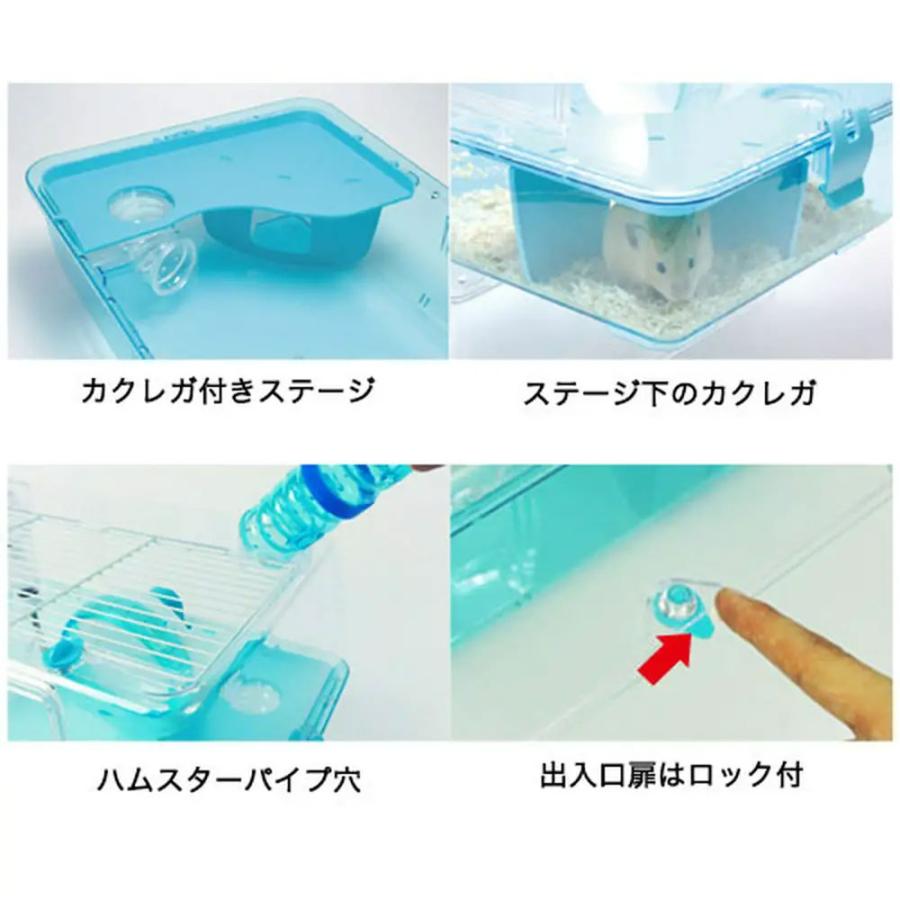 飼育セット ハムスター飼育セット 初心者向け 床材付き : チャーム