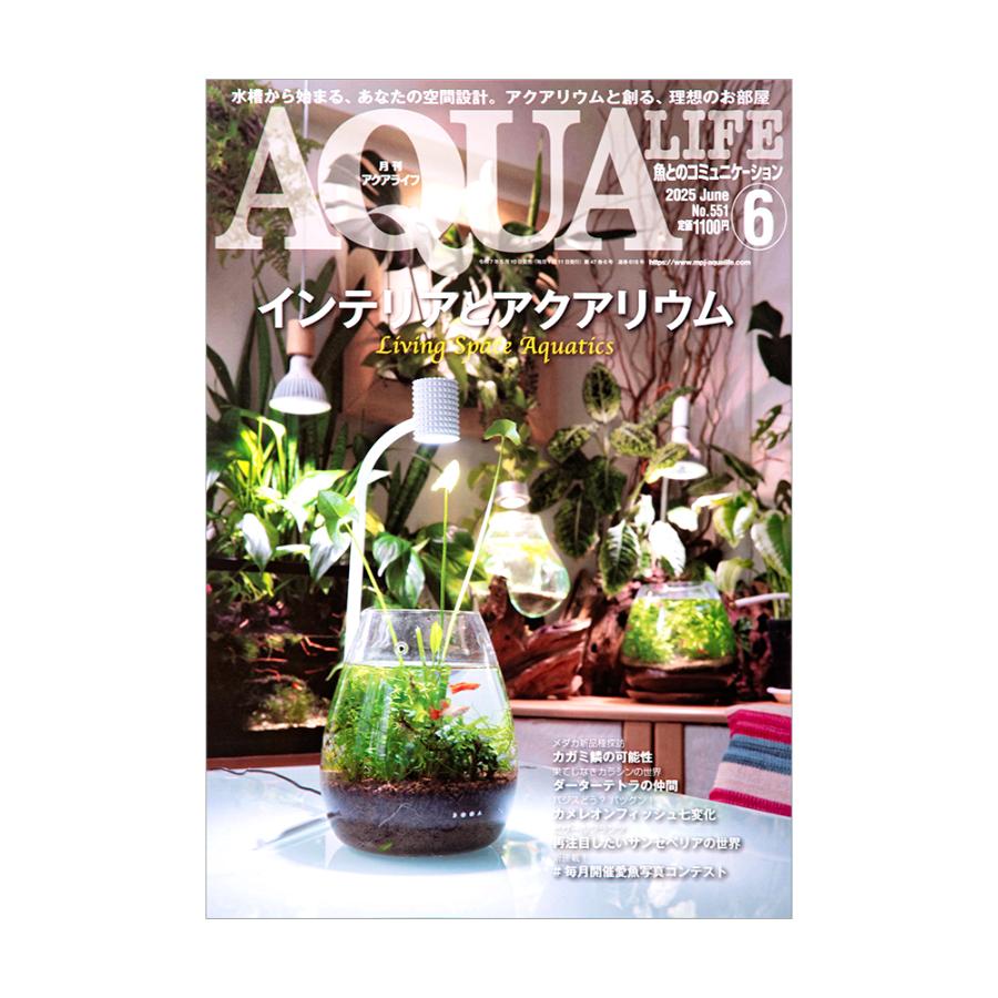 アクアライフ 6月号（2025） : チャーム charm ヤフー店 - 通販