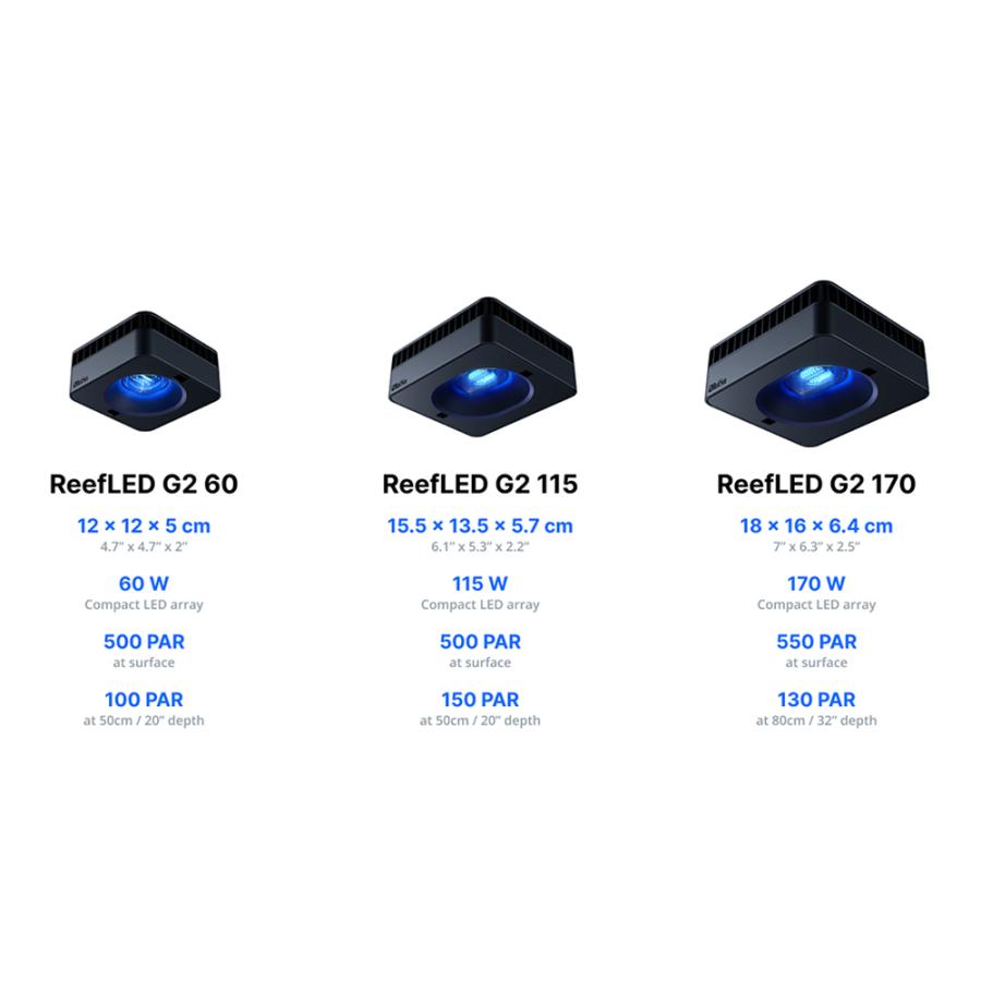 レッドシー Reef LED G2 60 サンゴ 成長 色揚げ 〜50cm