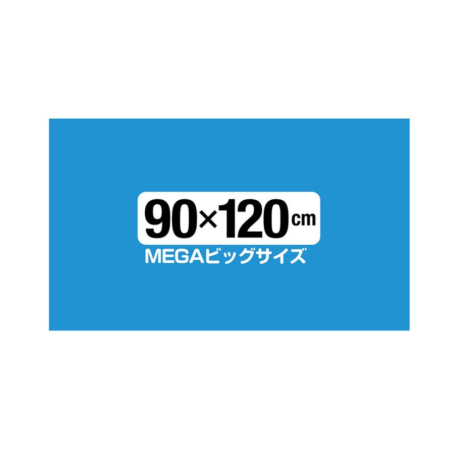 ボンビアルコン　しつけるシーツＷ消臭ｎｅｏ　ＭＥＧＡビッグ　６枚入　９０×１２０ｃｍ　ペットシーツ |  | 05