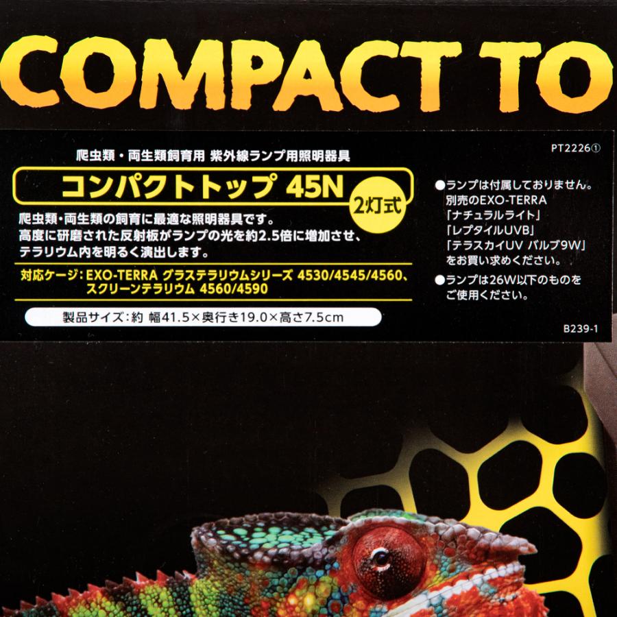 エンジェルフェザー✿*:・ 万華鏡 フローライト マルチカラー 蛍石