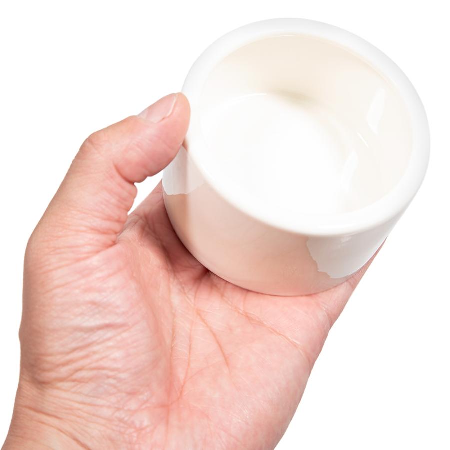 ＪＵＮ　Ｊ．ＲＥＰ　ＰＯＴＴＥＲＹ　ＨＩＧＨ　７５ |  | 01