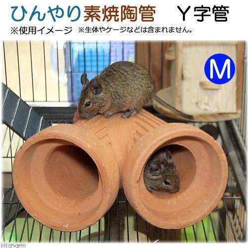 Leaf Corp ひんやり素焼陶管 Y字管 M 小動物用 ハウス トンネル