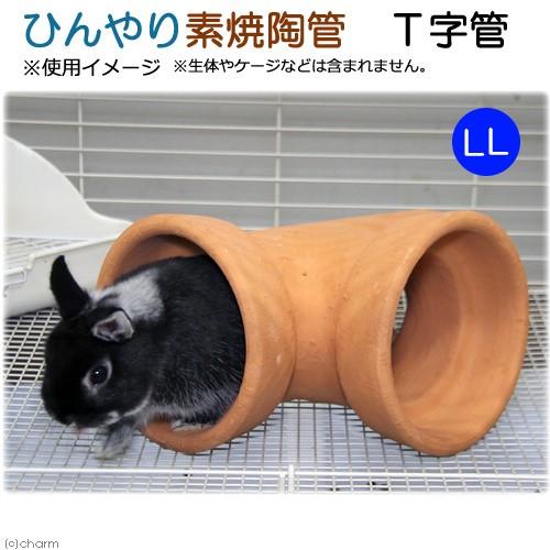 ひんやり素焼陶管　Ｔ字管　ＬＬ　小動物用　ハウス　トンネル｜chanet