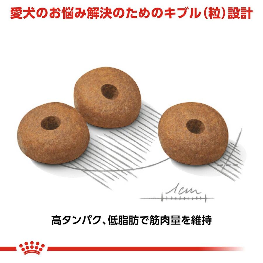 ロイヤルカナン　減量したい犬用　小型犬用　ミニ　ライトウェイトケア　生後１０ヵ月齢以上　４ｋｇ×２袋　ジップ付（ドライ）　お一人様２点限り | ロイヤルカナン | 04