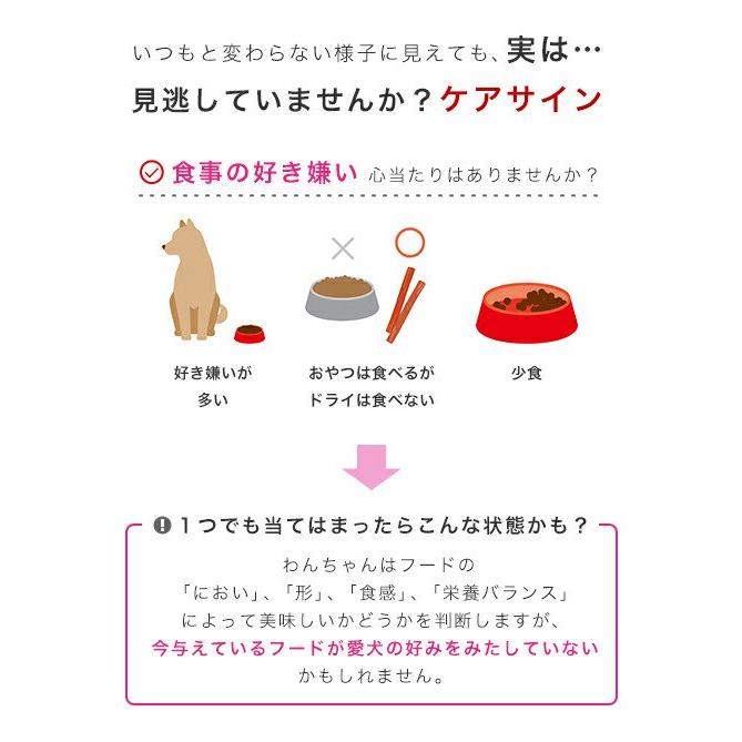 ROYAL CANIN 好き嫌いドライフード 2kg×3袋 【公式通販】