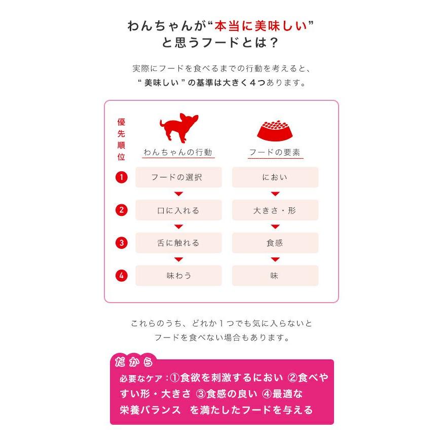 CANIN 好き嫌いドライフード 2kg×3袋 楽天市場】ロイヤルカナン ミニ