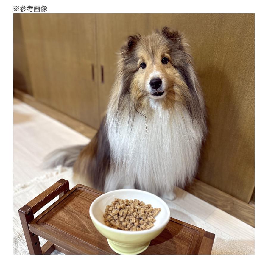 ピッコロ　シニア犬ドッグフード1.5kg2袋セット　新品未開封 評判は真実？】ピッコロドッグフードを実際に愛犬に食べさせた口コミ！