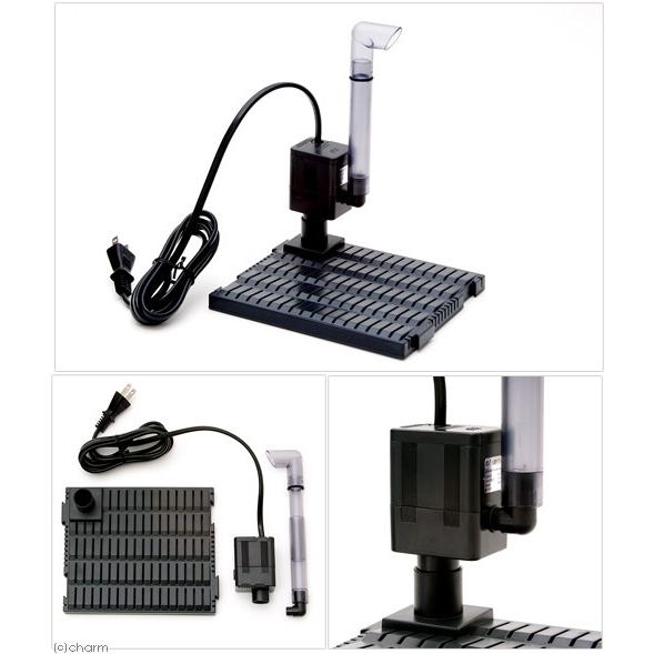 カミハタ 50Hz リオプラス 底面フィルターセット 東日本用