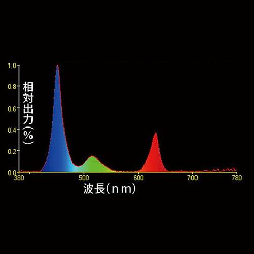 ゼンスイ LED PLUS 60cm ビューティールクス 水槽ライト 