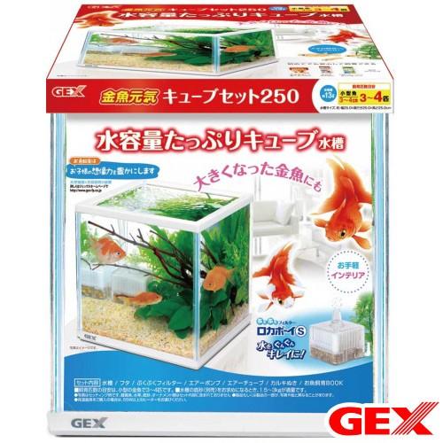 ランキング22 ｇｅｘ 金魚元気キューブセット ２５０ 初心者 お一人様２点限り2 012円 Aynaelda Com