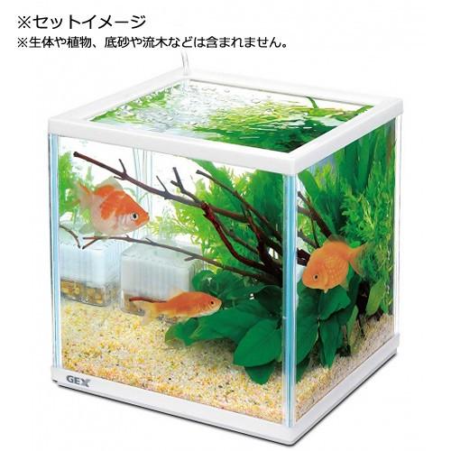 ランキング22 ｇｅｘ 金魚元気キューブセット ２５０ 初心者 お一人様２点限り2 012円 Aynaelda Com