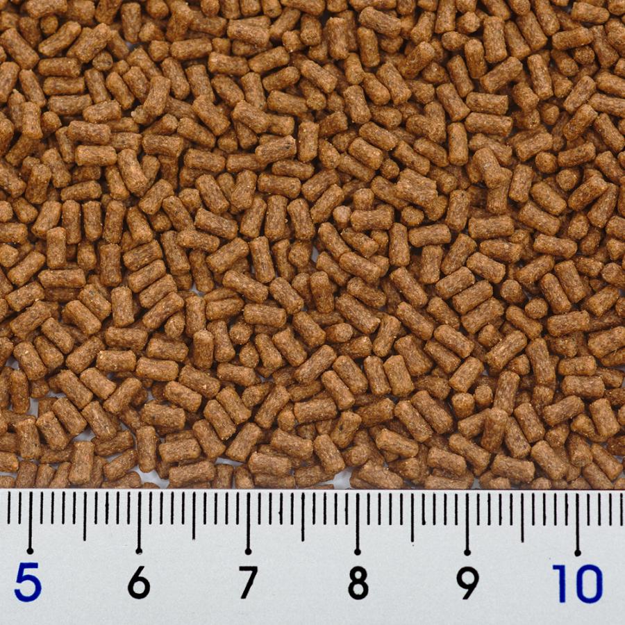 Hikari（ひかり） キョーリン ヌマエビ 30g お一人様48点限り