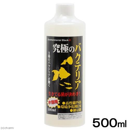 B-blast（ビーブラスト） B−blast 究極のバクテリア 500ml