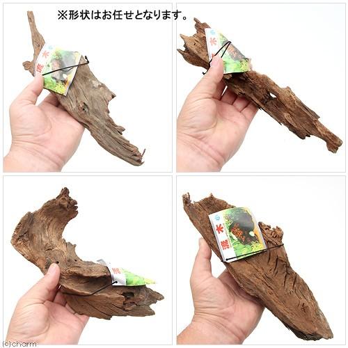 カミハタ 即納 流木 小 形状お任せ