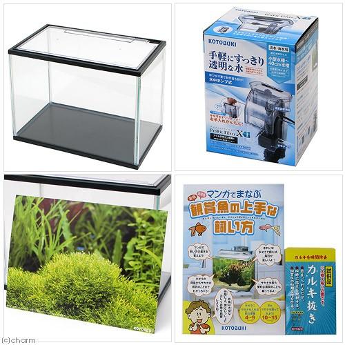 コトブキ工芸 コトブキ工芸 アクアステップM B−PFセット コトブキ工芸 コトブキ工芸 アクアステップM B−PFセット