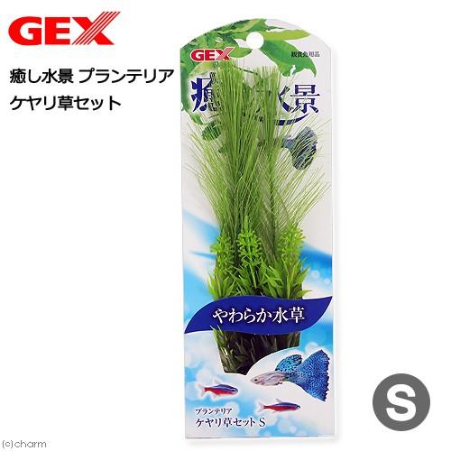 GEX（ジェックス） プランテリア ケヤリ草 S 人工水草 : チャーム