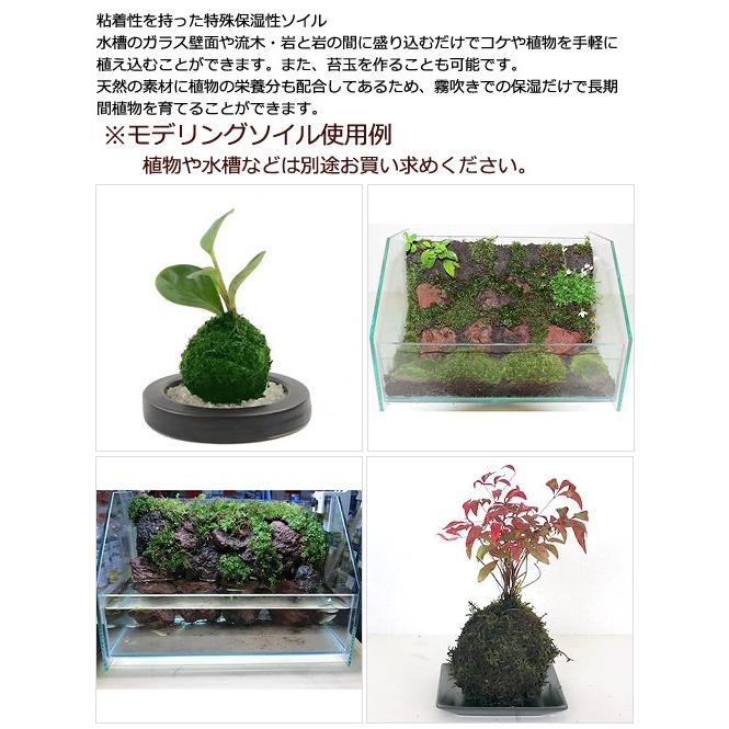 ジュン JUN モデリングソイル 1L テラリウム ビバリウム