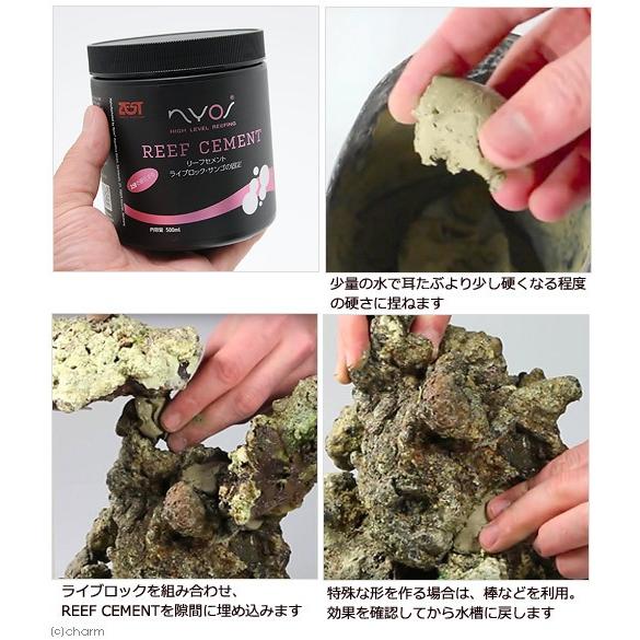 特別価格2個セット✨ゼンスイ ニオス リーフセメント 500ml ゼンスイ ニオス リーフセメント 500ml : チャーム charm ヤフー