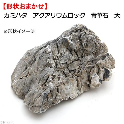 カミハタ アクアリウムロック 青華石 大 形状お任せ : チャーム charm