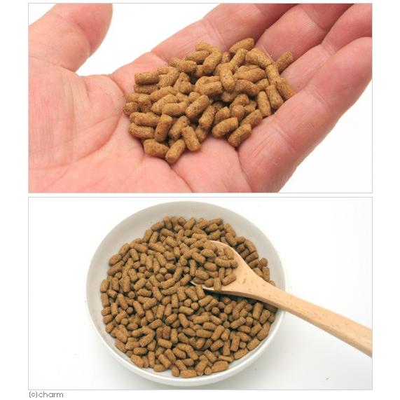 ニチドウ メディハリネズミ 300g 善玉乳酸菌入り : チャーム charm