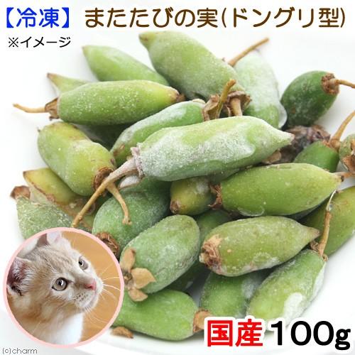 冷凍 冷凍国産またたびの実 ドングリ型 １００ｇ 別途クール手数料 常温商品同梱不可 チャーム Charm Paypayモール店 通販 Paypayモール