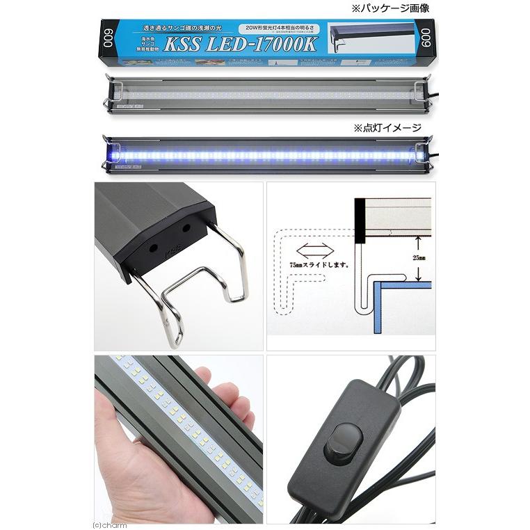 数量限定価格!!数量限定価格!!興和 ＫＳＳ ＬＥＤ−１７０００Ｋ