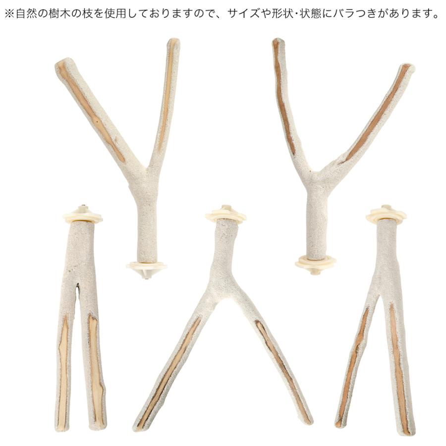 三晃商会 爪とぎパーチ Y型 鳥 止まり木 : チャーム charm ヤフー店