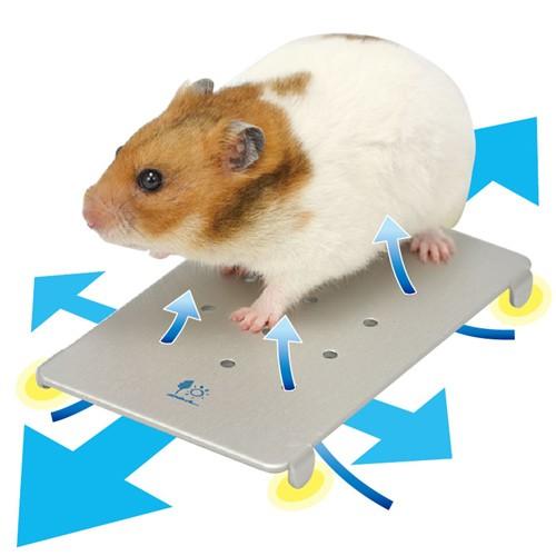 小動物用 涼感ベッド 楽天市場】ひんやり ベッド（種類（小動物）フェレット