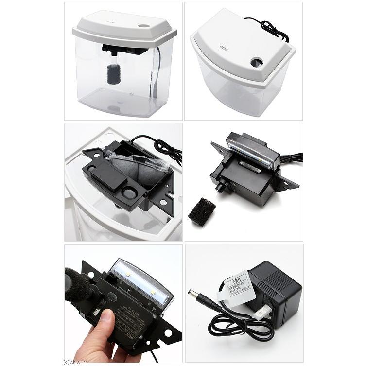 ｇｅｘ メダカ元気 ｌｅｄ フィルター付 やさしい水槽セット 初心者 チャーム Charm Paypayモール店 通販 Paypayモール