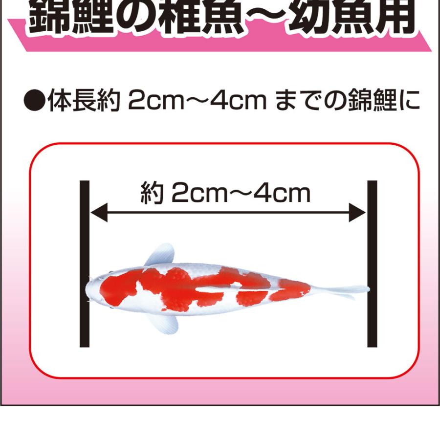 Hikari(ペット用品) 鯉の餌 キョーリン 咲ひかり 稚魚用 沈下 Hikari(ペット用品) 鯉の餌 キョーリン 咲ひかり 稚魚用 沈下