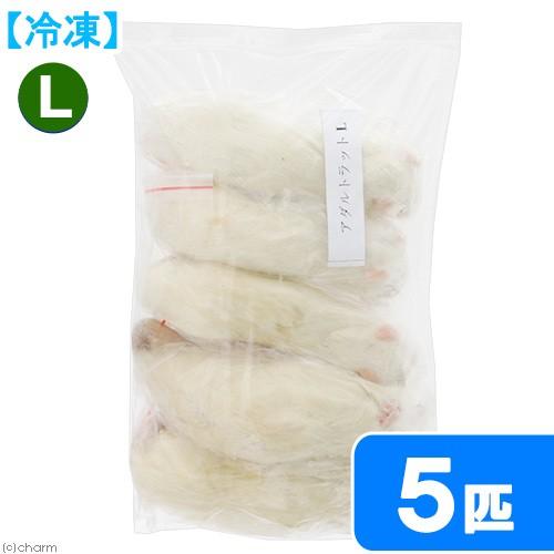 冷凍★富城　アダルトラットＬ　（５匹）　冷凍マウス　冷凍ラット　別途クール手数料　常温商品同梱不可 | 