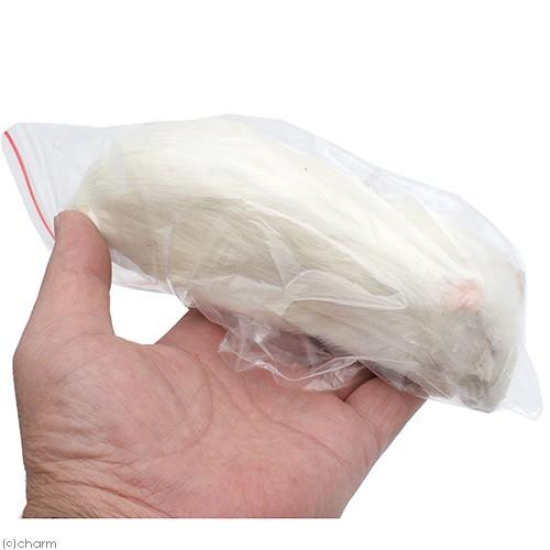 冷凍★富城　アダルトラットＬ　（５匹）　冷凍マウス　冷凍ラット　別途クール手数料　常温商品同梱不可 |  | 01