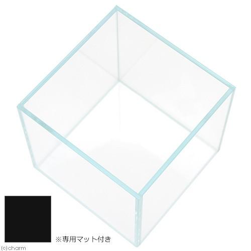 アクロ ガラス水槽 アクロ15キューブ スーパークリア 15×15