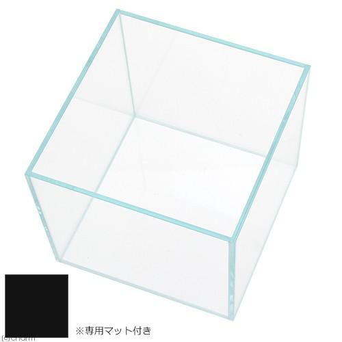 アクロ ガラス水槽 アクロ20キューブ スーパークリア 20×20