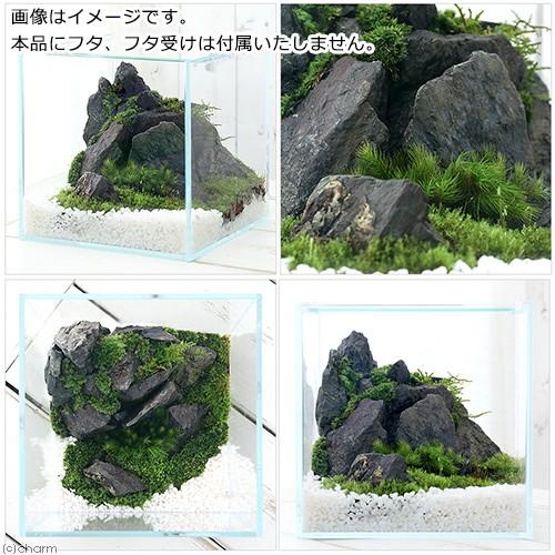 アクロ ガラス水槽 アクロ20キューブ スーパークリア 20×20