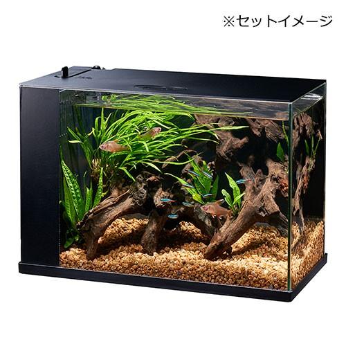熱帯魚 水草 ｇｅｘ ラクテリア ブラック ミクロソリウムレイアウトセット お一人様１点限り 本州四国限定 チャーム Charm Paypayモール店 通販 Paypayモール