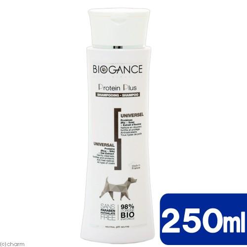 バイオガンス　プロテインプラスシャンプー　２５０ｍｌ | 