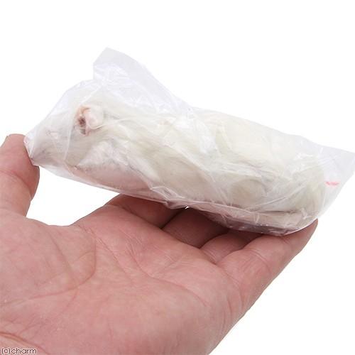 冷凍ラット 冷凍ラット 4XL 300g〜 2Peace | BEST RODENT ベストローデント