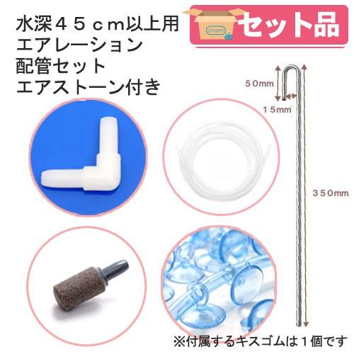 2年保証 水深４５ｃｍ以上用エアレーション配管セット エアストーン付き
